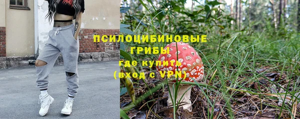 PSILOCYBIN Волосово