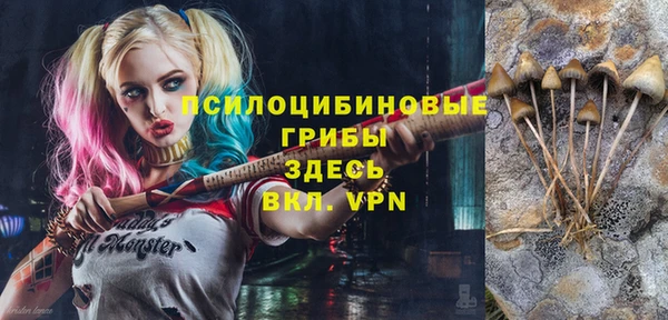 PSILOCYBIN Волосово