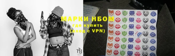 PSILOCYBIN Волосово