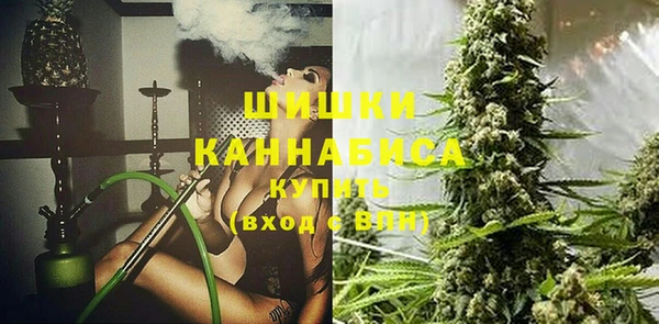 PSILOCYBIN Волосово