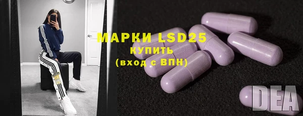 PSILOCYBIN Волосово