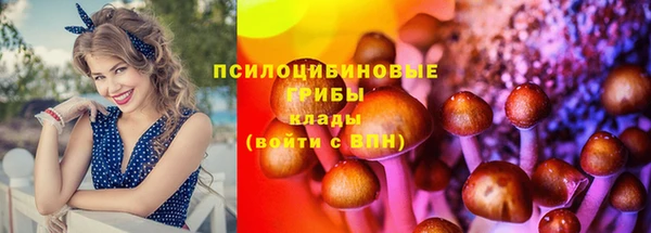 крисы Волоколамск