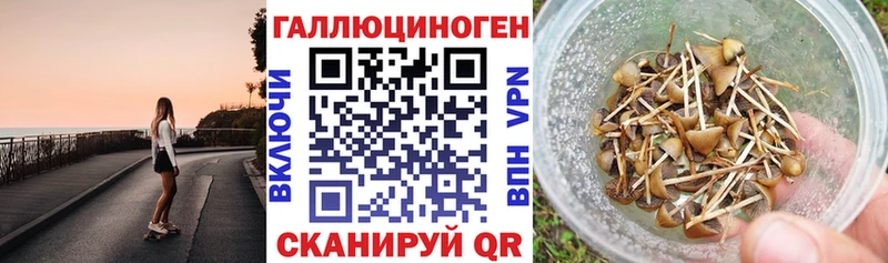 наркотики Каспийск Псилоцибиновые грибы Magic Shrooms